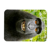 Affen-Selfie Magnet (Horizontal)