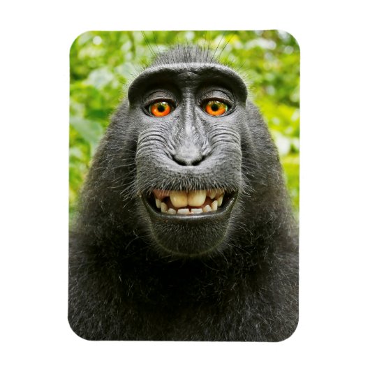 Affen-Selfie Magnet (Vertikal)
