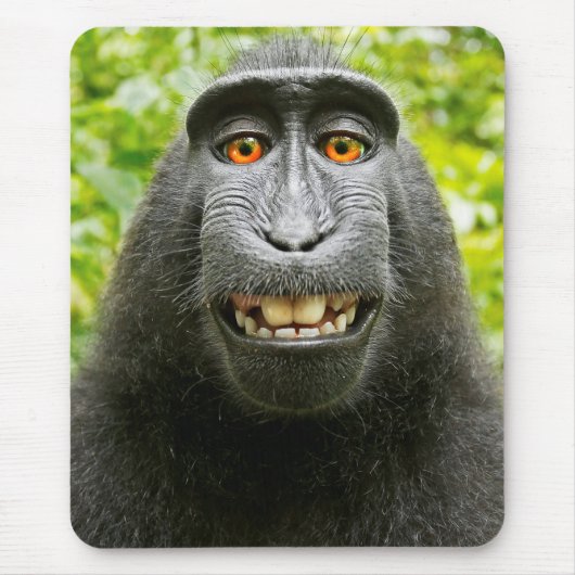 Affen-Selfie Mousepad (Vorne)