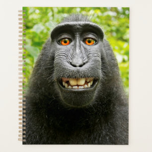 Affen-Selfie Planer