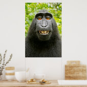 Affen-Selfie Poster (Küche)