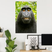 Affen-Selfie Poster (Heimbüro)