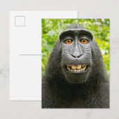 Affen-Selfie Postkarte (Vorne/Hinten)