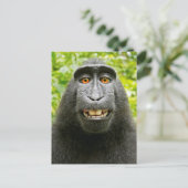 Affen-Selfie Postkarte (Stehend Vorderseite)