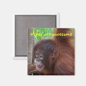 Affen sind Phantastisch Magnet (Vorderseite/Rückseite)