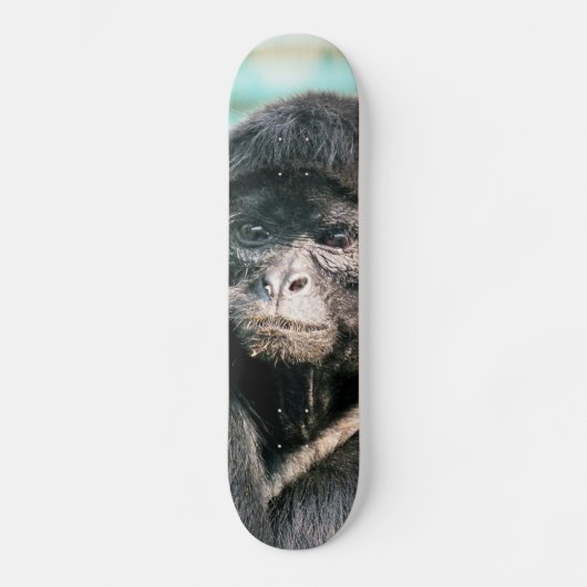 AFFEN SKATEBOARD (Vorderseite)