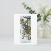 Affen - Spinne & Tamarin Postkarte (Stehend Vorderseite)