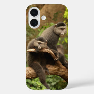 Affen-TelefonCase iPhone 16 Hülle