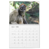 Affen und Affen der Welt 2016-Kalender Kalender (Mär 2026)