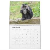 Affen und Affen - Kalender 2016 (Jan 2026)