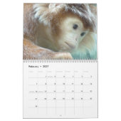 Affen und Affen - Kalender 2016 (Feb 2027)