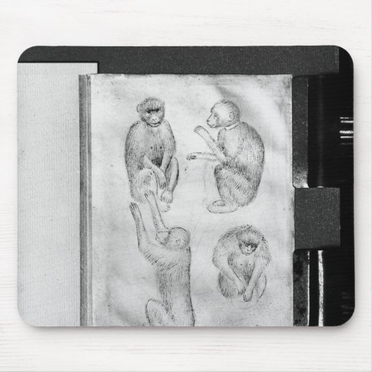 Affen, vom Vallardi Album Mousepad (Vorne)
