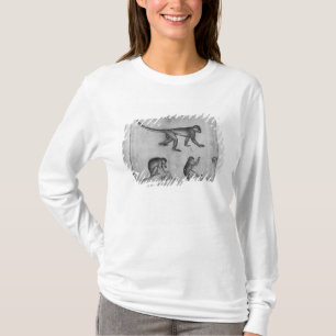 Affen, vom Vallardi Album T-Shirt
