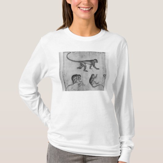 Affen, vom Vallardi Album T-Shirt (Vorderseite)