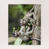 Affenbabys in der Natur Puzzle (Vertikal)
