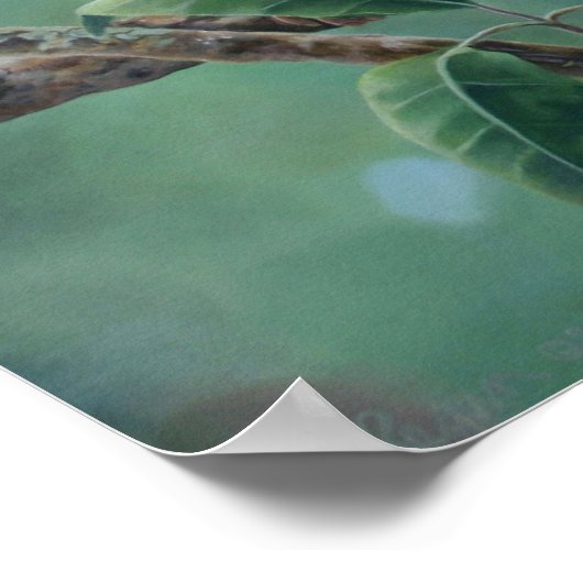 "Affenbarsche" Poster (Ecke)