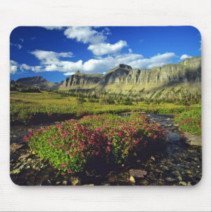Affenblumen am Logan Pass im Glacier National Mousepad