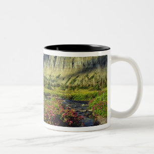 Affenblumen am Logan Pass im Glacier National Zweifarbige Tasse