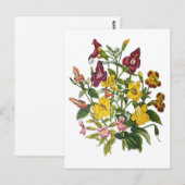 Affenblumen Postkarte (Vorne/Hinten)