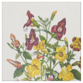 Affenblumen Stoff (Nahaufnahme)
