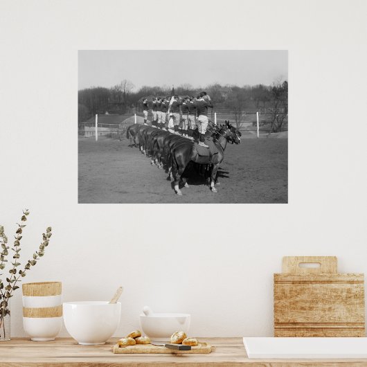 Affenbohrer, 20er poster (Küche)