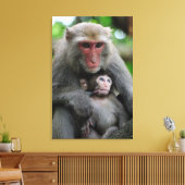 Affenbrühe Fütterte ihr Baby Leinwanddruck (Insitu (Wohnzimmer))