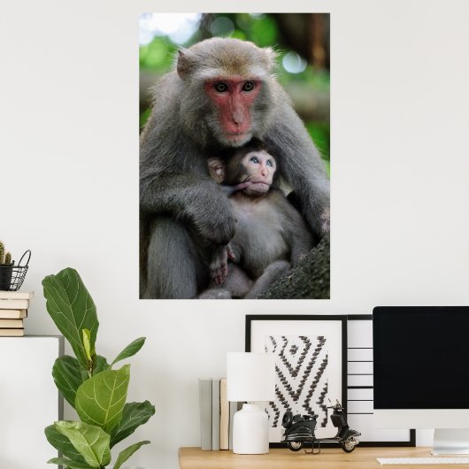 Affenbrühe Fütterte ihr Baby Poster (Heimbüro)