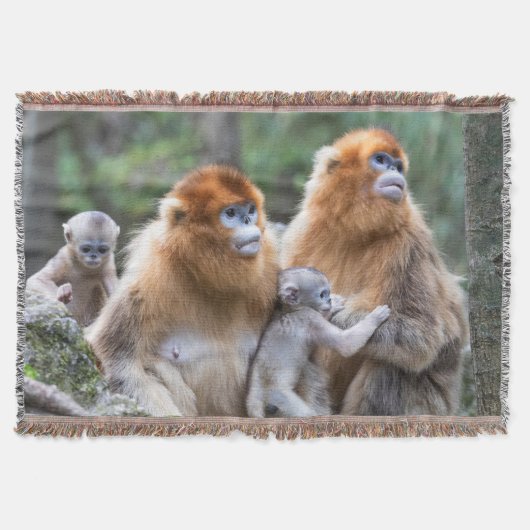 Affenfamilie Decke (Vorderseite)