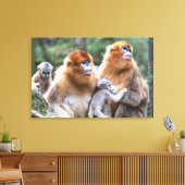 Affenfamilie Leinwanddruck (Insitu (Wohnzimmer))