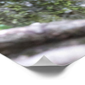 Affenfamilie Poster (Ecke)