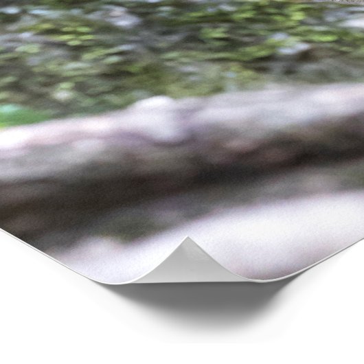 Affenfamilie Poster (Ecke)