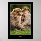 Affenfamilie Poster (Vorne)