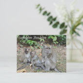 Affenfamilie Singapur Postkarte (Stehend Vorderseite)