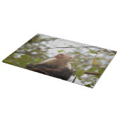 Affenfotografie, weißes Capuchin Schneidebrett (Ecke)
