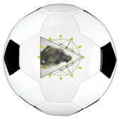 Affengeometrie Fußball (Gedreht)
