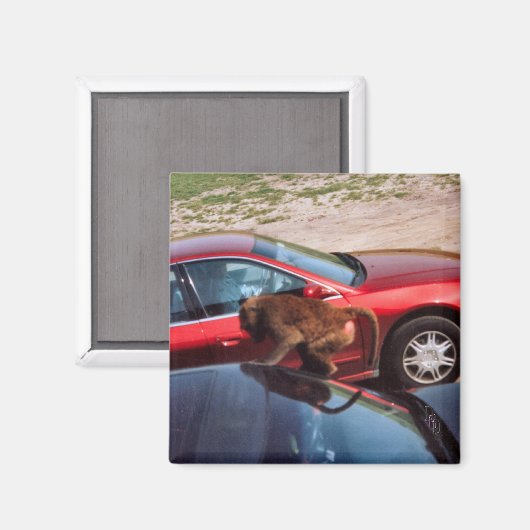 Affengeschäft Magnet (Vorderseite/Rückseite)