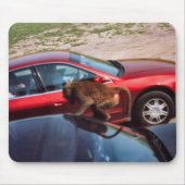 Affengeschäft Mousepad (Vorne)
