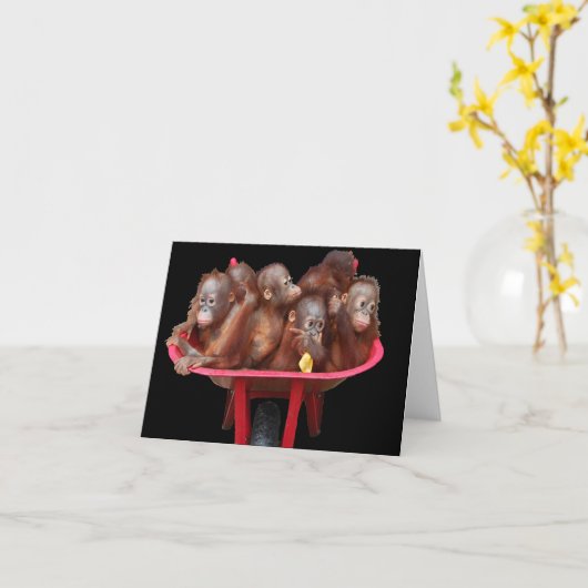 Affengeschäft Orangutan Babys Karte (Gelbe Blume)
