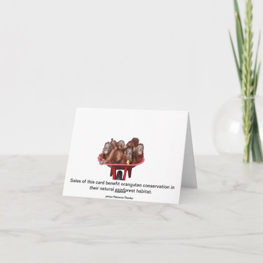 Affengeschäft Orangutan Babys Karte (Rückseite)