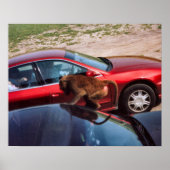 Affengeschäft Poster (Vorne)