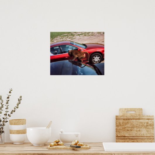 Affengeschäft Poster (Küche)