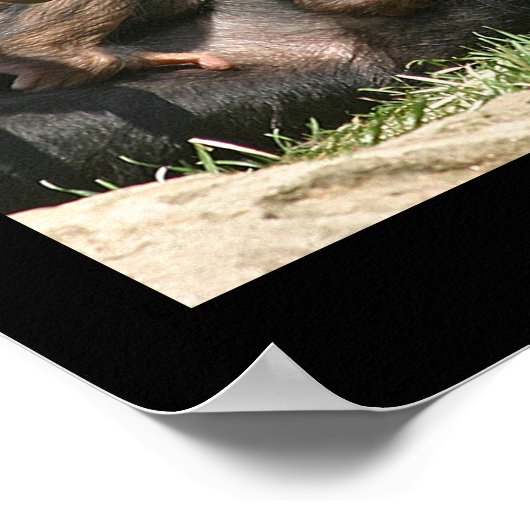 Affengeschäft Poster (Ecke)