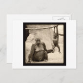 Affengeschäft Postkarte (Vorne/Hinten)