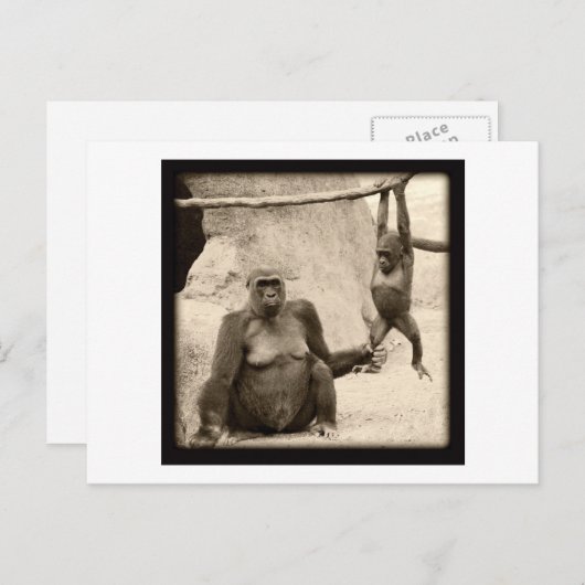 Affengeschäft Postkarte (Vorne/Hinten)