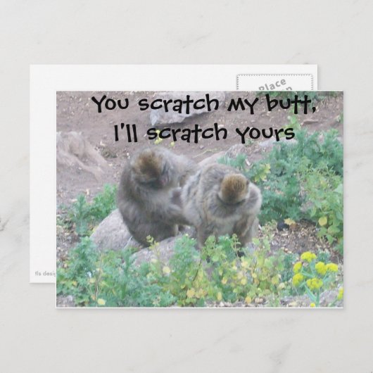 Affengeschäft Postkarte (Vorne/Hinten)