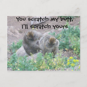 Affengeschäft Postkarte