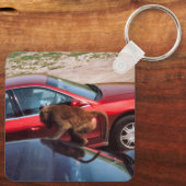 Affengeschäft Schlüsselanhänger (Rückseite)