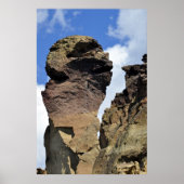 Affengesicht Poster (Vorne)