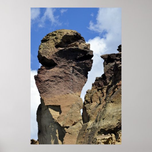 Affengesicht Poster (Vorne)