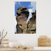 Affengesicht Poster (Küche)